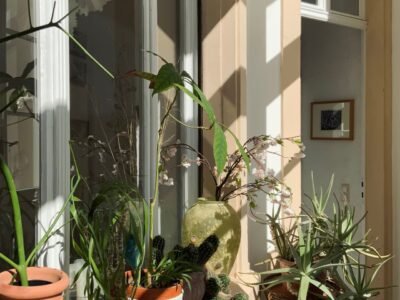 Sunlit windowsill beside a tall white window, holding terracotta pots of houseplants and cacti and a green vase of blossom